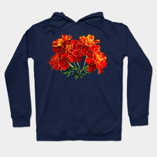 Marigolds - Bouquet of Marigolds Hoodie